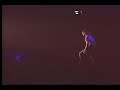 趙傳 紅十字合唱團 噢 莎莉 1989 忠實夥伴 演唱會 趙傳 紅十字合唱團 噢 莎莉 1989 忠實夥伴 演唱會