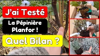 PLANFOR Nursery: REVIEWS on plants