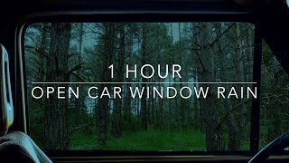 Open Car Window Rain - Rain On Car - Forest Rain - 1 hour Rain Sounds for Sleeping by ΣHAANTI - Virtual Environment 128,115 views 1 year ago 1 hour