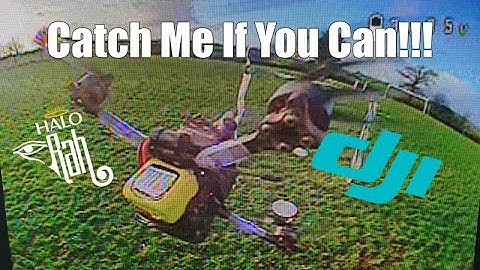 Catch Me If You Can - DJI HD FPV Racing - HaloRC Rah