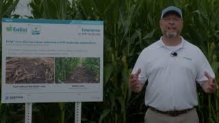 Controlling Volunteer Corn | Eric Scherder, PhD