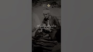 ولو أنما في الأرض من شجرة أقلام ¦ الآية 27 من سورة لقمان ¦ #المنشاوي