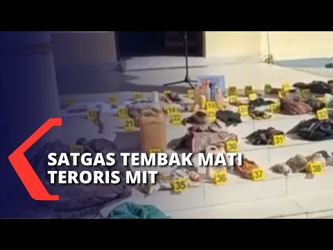 Lempar Bom ke Satgas Madago Raya, Anggota Kelompok Teroris Mujahidin Indonesia Timur Ditembak Mati