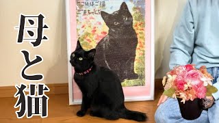 猫娘からの母の日のプレゼントはまさかのアレだった