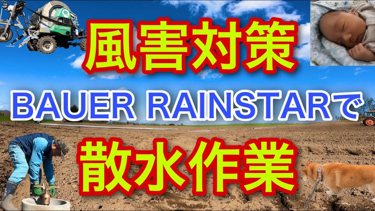 風害対策 Bauer Rainstarで散水作業 Youtube