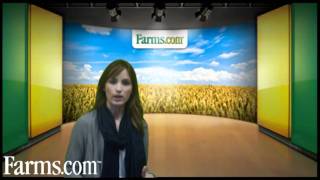 Farms.com Grain Outlook: USDA WASDE and Crop Production Reports Released