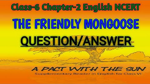 The Friendly Mongoose || CLASS-6 || CHAPTER-2 || ENGLISH ( A Pact With The Sun ) || QUESTION/ANSWER