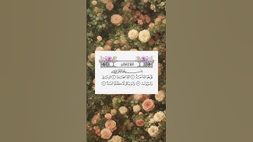 سورة الإخلاص تلاوة الشيخ ماهر المعيقلي #اجر_لي_ولكم #القرآن_الكريم