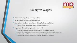 Understanding and Managing Payroll for Government Contractors