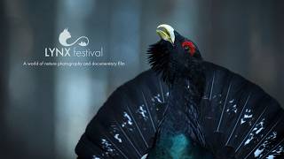 LYNX festival 2025 highlights