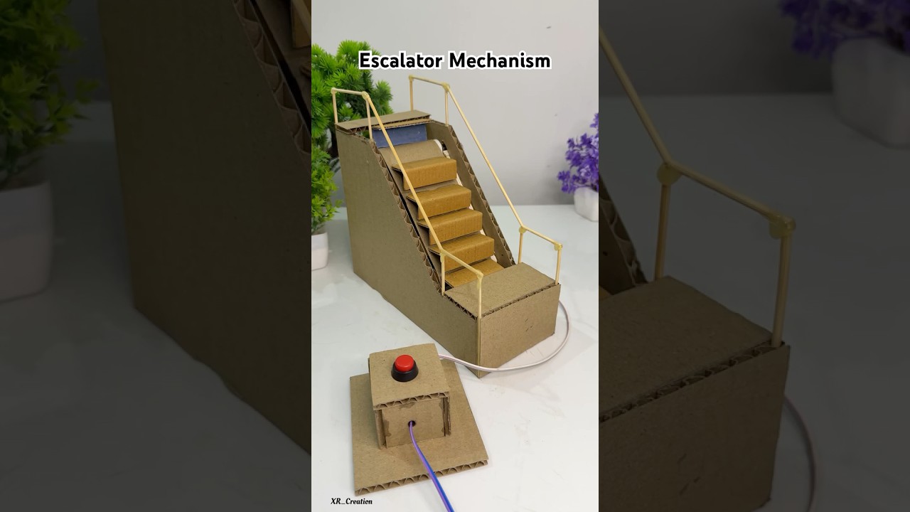 Escalator working model with cardboard * scienceproject #schoolproject #project #tech #dcmotor #diy