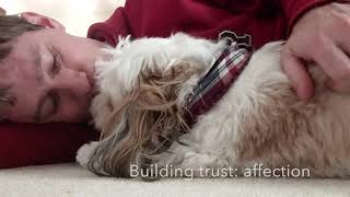 Erikson's First Stage of Development: Trust vs. Mistrust