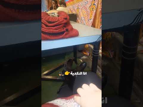 مثل ما قال تامر