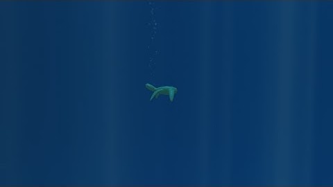 Modeling and animating  a turtle in 3d max