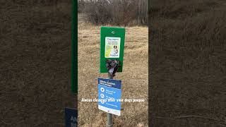 Clean up after your dogs :) #shorts