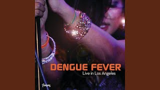 Watch Dengue Fever Thank You Goodbye video