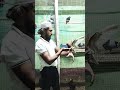 kalpataru pet shop #attitude