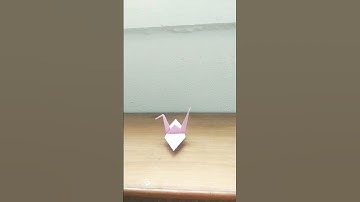 From still to stunning: origami crane stop-motion