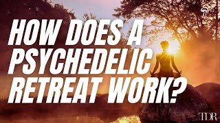 How Does A Psychedelic Retreat Work?