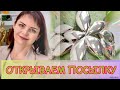 СЕРЕБРО🌿Открываем Посылочку🌿Серебряные Шары🌞и многое другое🌿Коллекция🌿Elements🌿Сила Предков🌿