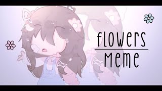 Flowers meme| lazy 🌸 