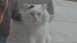 Submit Your Best Pet Photo, Vote In The Dumb Friends League Contest To Help Homeless Animals