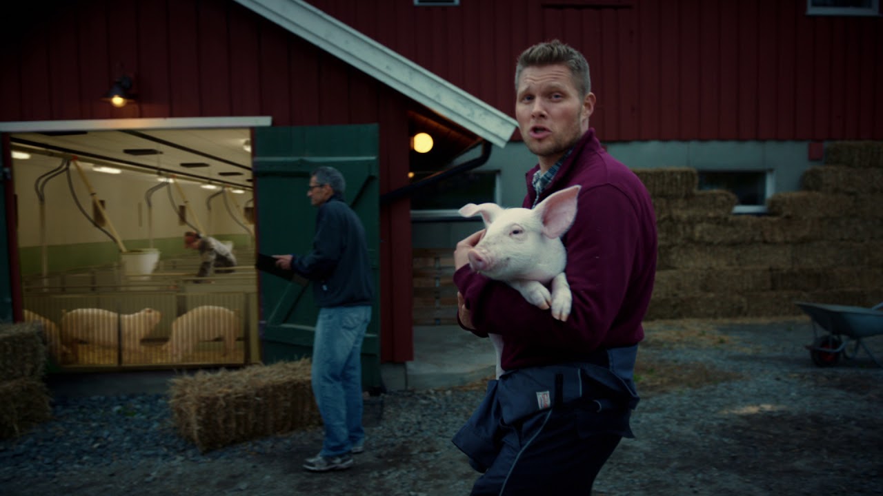 Reklamefilm (61sek) | Griseløftet - dyrevelferd | Gilde