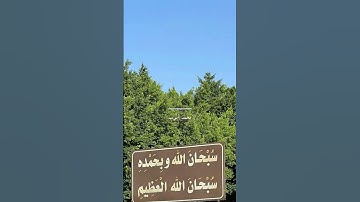 #قرآن #محمد_ايوب #سورة_الاحزاب #اكسبلور #اللهم_صل_وسلم_على_نبينا_محمد 🤍