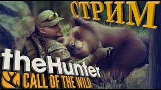 TheHunter: Call of the Wild (Добываем золотых животных в Европе по основному квесту.) TheHunter: Call of the Wild (Добываем золотых животных в Европе по основному квесту.)