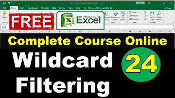 24. How to use Wildcard Filtering in Excel | What is wild card filter in excel
