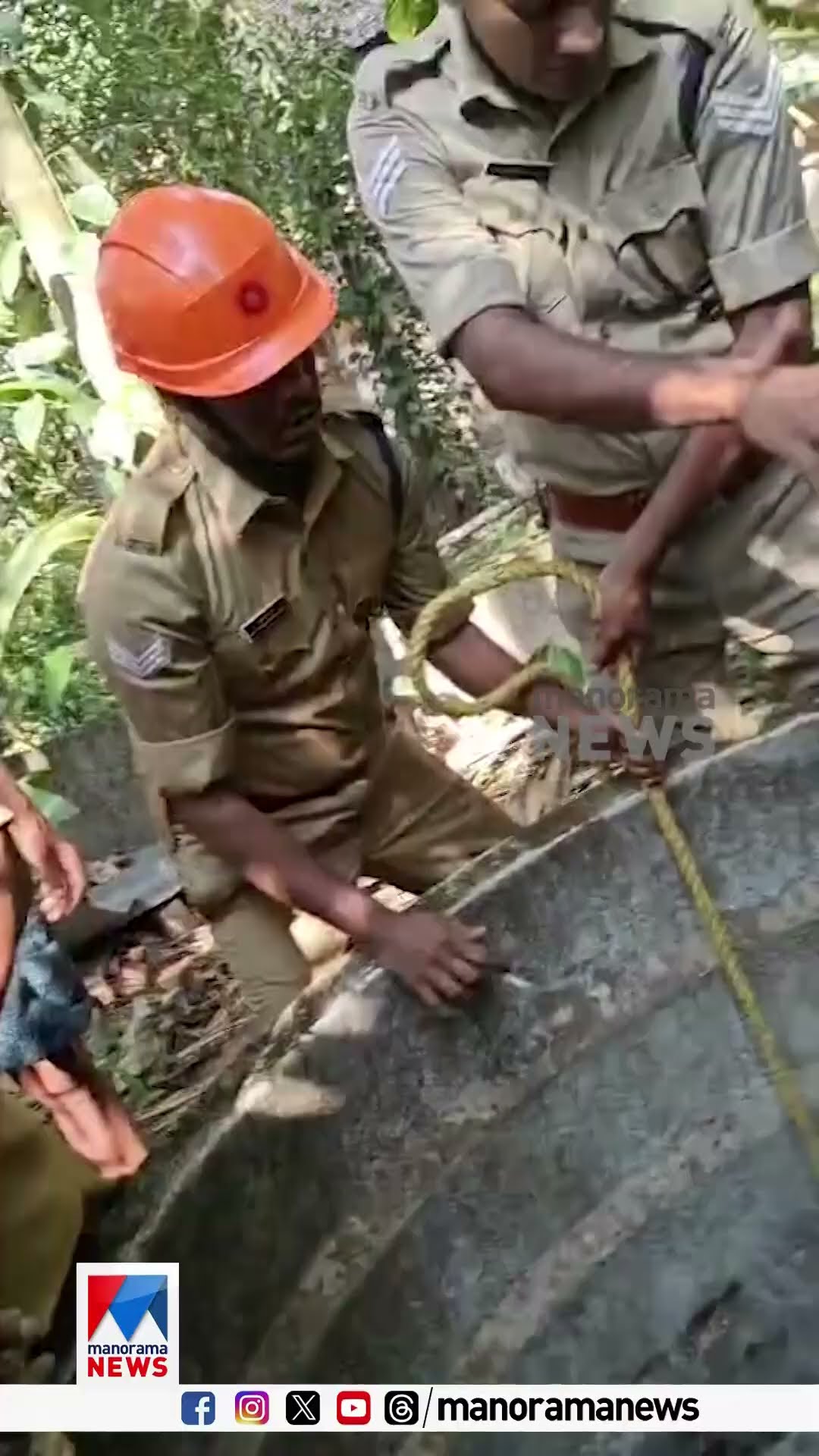 കുരുമുളക് പറക്കുന്നതിനിടെ കിണറ്റിൽ വീണ ഭർത്താവിനെ രക്ഷിക്കാനായി കയറിൽ തൂങ്ങി ഇറങ്ങി ഭാര്യ