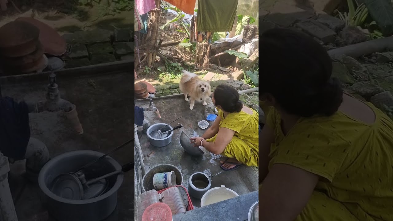 😊 খুব মিষ্টি একটা ঝগড়া হচ্ছে।