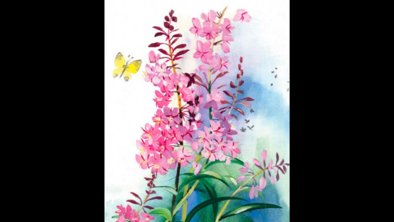 Заботливый цветок паустовский читательский дневник 3 класс образец