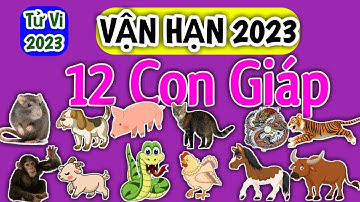 Vận Hạn của 12 Con Giáp trong năm 2023 chi tiết - Vận Hạn 2023