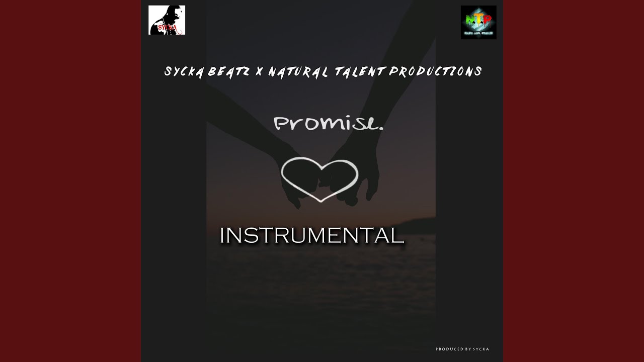 THE PROMISE INSTRUMENTAL (Instrumental)