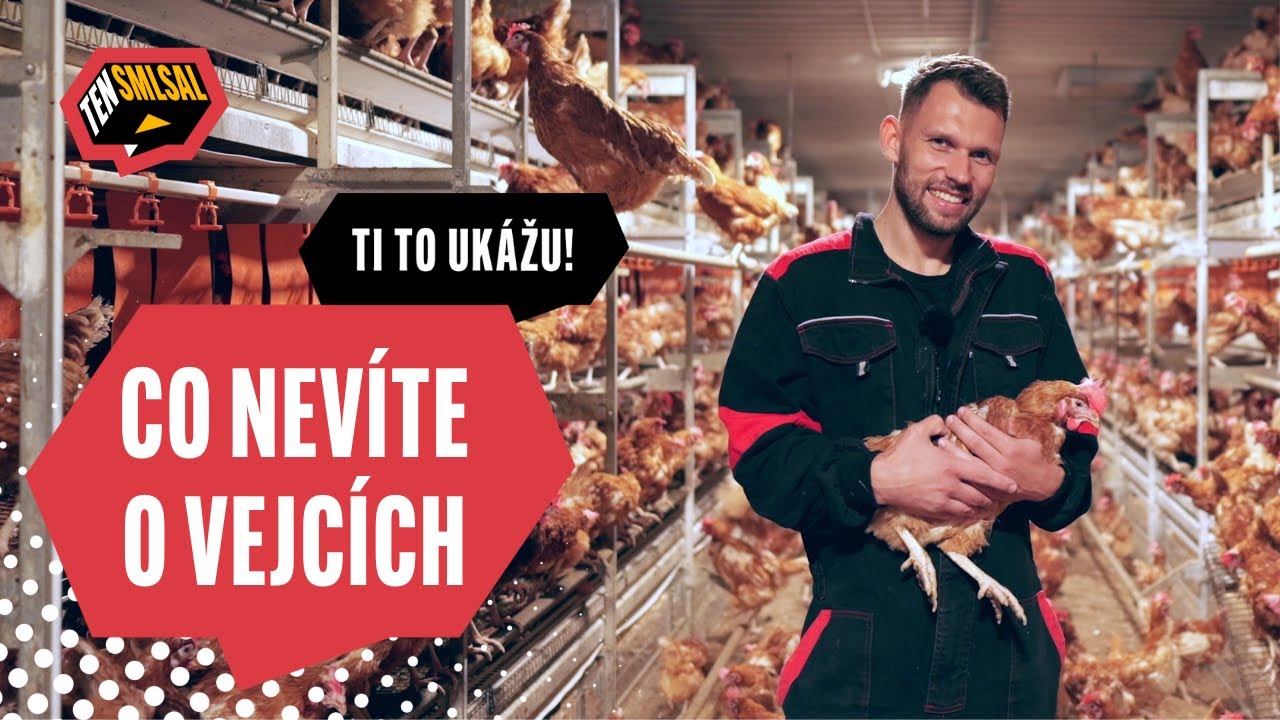 „Jsou to rasisti!“ Makal jsem u SLEPIC a zjistil vše o vejcích