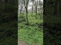 উত্তরাখন্ড নৈনিতাল  #trending #viral #shorts #reels #shortsfeed