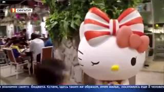 Как выжить в транзитной зоне?