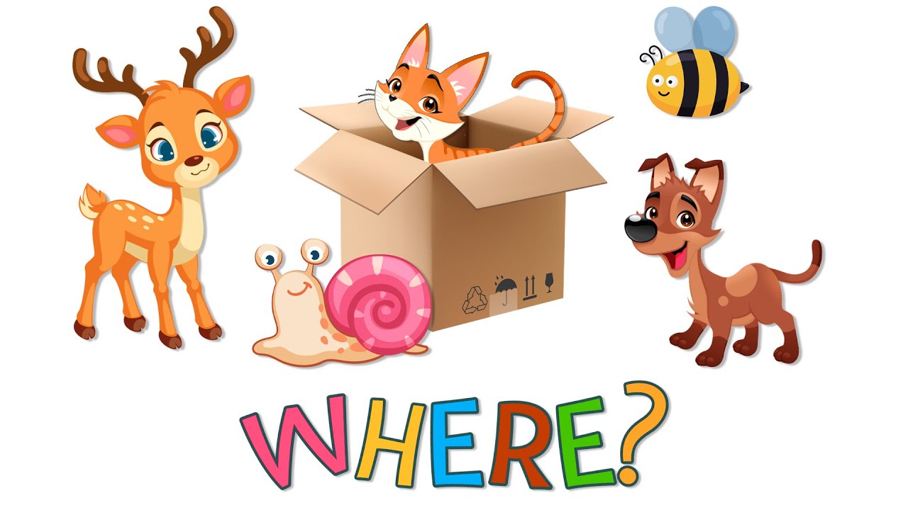 Learn animals for Kids Educational video for kids & toddlers YouTube