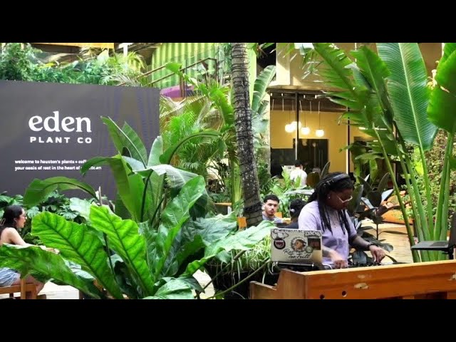 Obejrzyj Golden Hour @ Eden Plant Co. - R&B, Kaytra Vibes, Afrobeats, Amapiano, Afrohouse & UK Garage 4/13/25 w YouTube Obejrzyj Golden Hour @ Eden Plant Co. - R&B, Kaytra Vibes, Afrobeats, Amapiano, Afrohouse & UK Garage 4/13/25 w YouTube