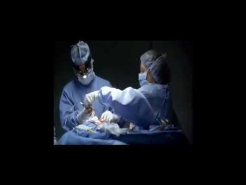 watch gifted hands youtube watch gifted hands youtube