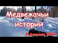 Медвежачьи истории 8 февраля 2023