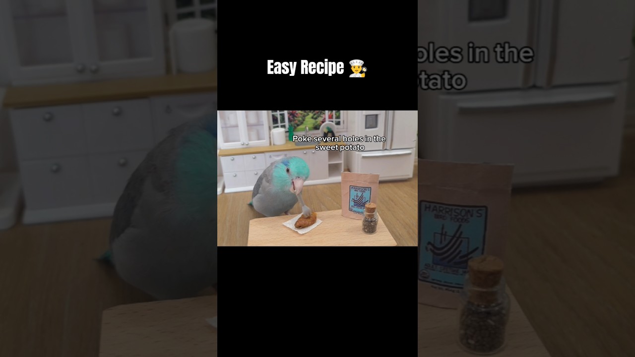 Latest Title & Thumbnail