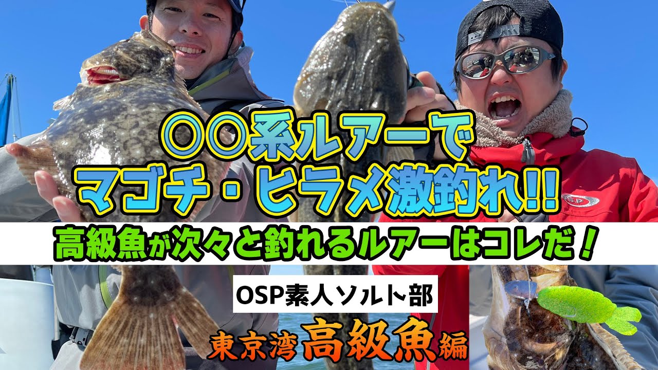 系ルアーでマゴチ ヒラメ激釣れ 高級魚が次々と釣れるルアーはコレだ O S P素人ソルト部東京湾高級魚編 Youtube 系ルアーでマゴチ ヒラメ激釣れ 高級魚が次々と釣れるルアーはコレだ O S P素人ソルト部東京湾高級魚編 Youtube