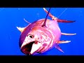 Big tunas highlights  part 2  pacific ocean