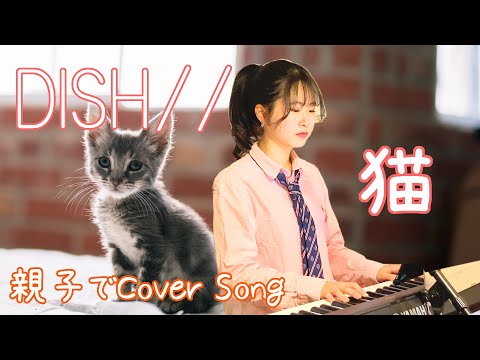 【女性が歌う】猫 / DISH//  『ピアノ（娘）/ギター（パパ）』 【歌ってみた ♪ 歌詞付き】