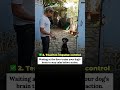 🐶 Why Door Manners Are So Important for Your Dog#DoorManners #DogTrainingTips #DogSafety CalmDog
