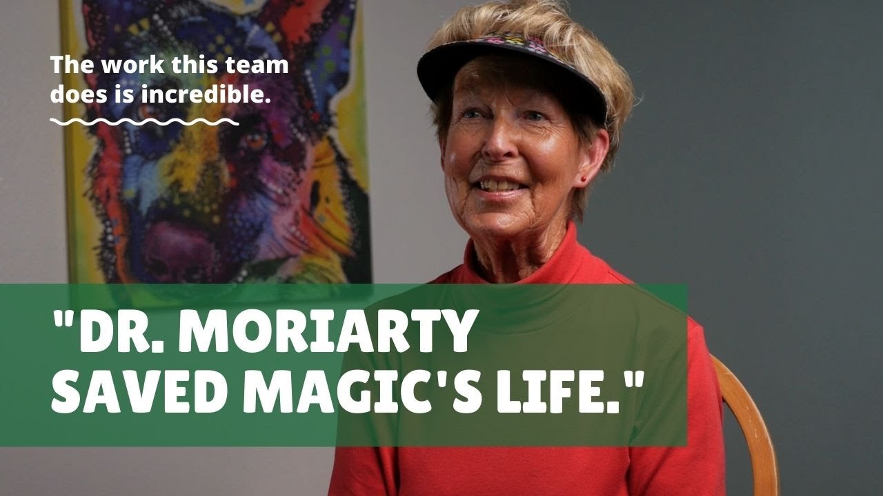 They Saved My Dogs Life | Dr. Kathryn Moriarty and Her Team are The Best