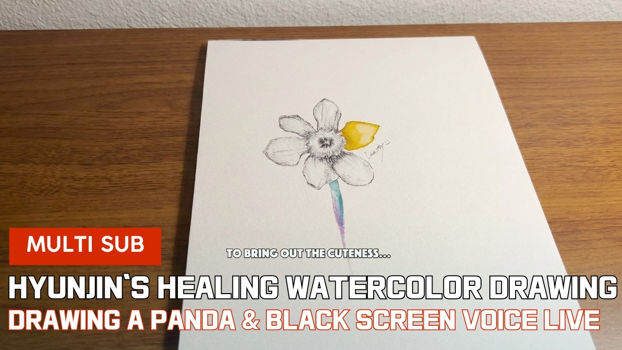 Hyunjin's Healing Watercolor Drawing - Drawing a Panda, and Black Screen Voice Live (08-05-2024)