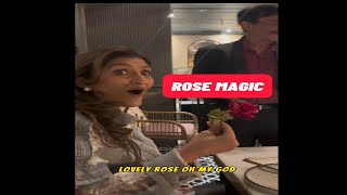 ROSE MAGIC